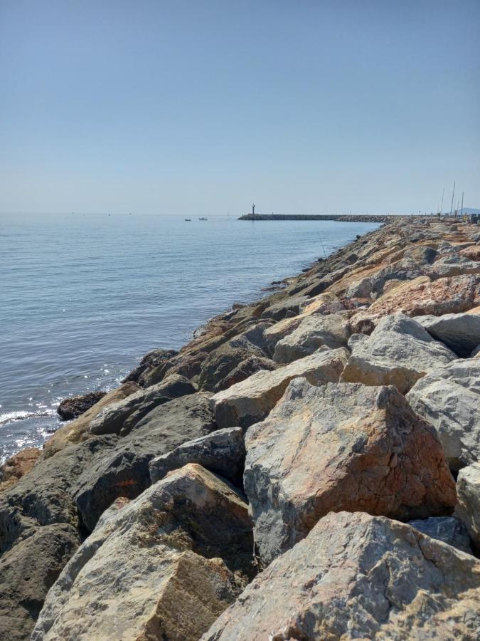 Appartement Saint Cyprien Plage Residence Les Mas De La Mer Zewnętrze zdjęcie
