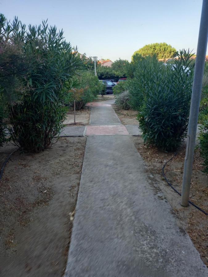 Appartement Saint Cyprien Plage Residence Les Mas De La Mer Zewnętrze zdjęcie