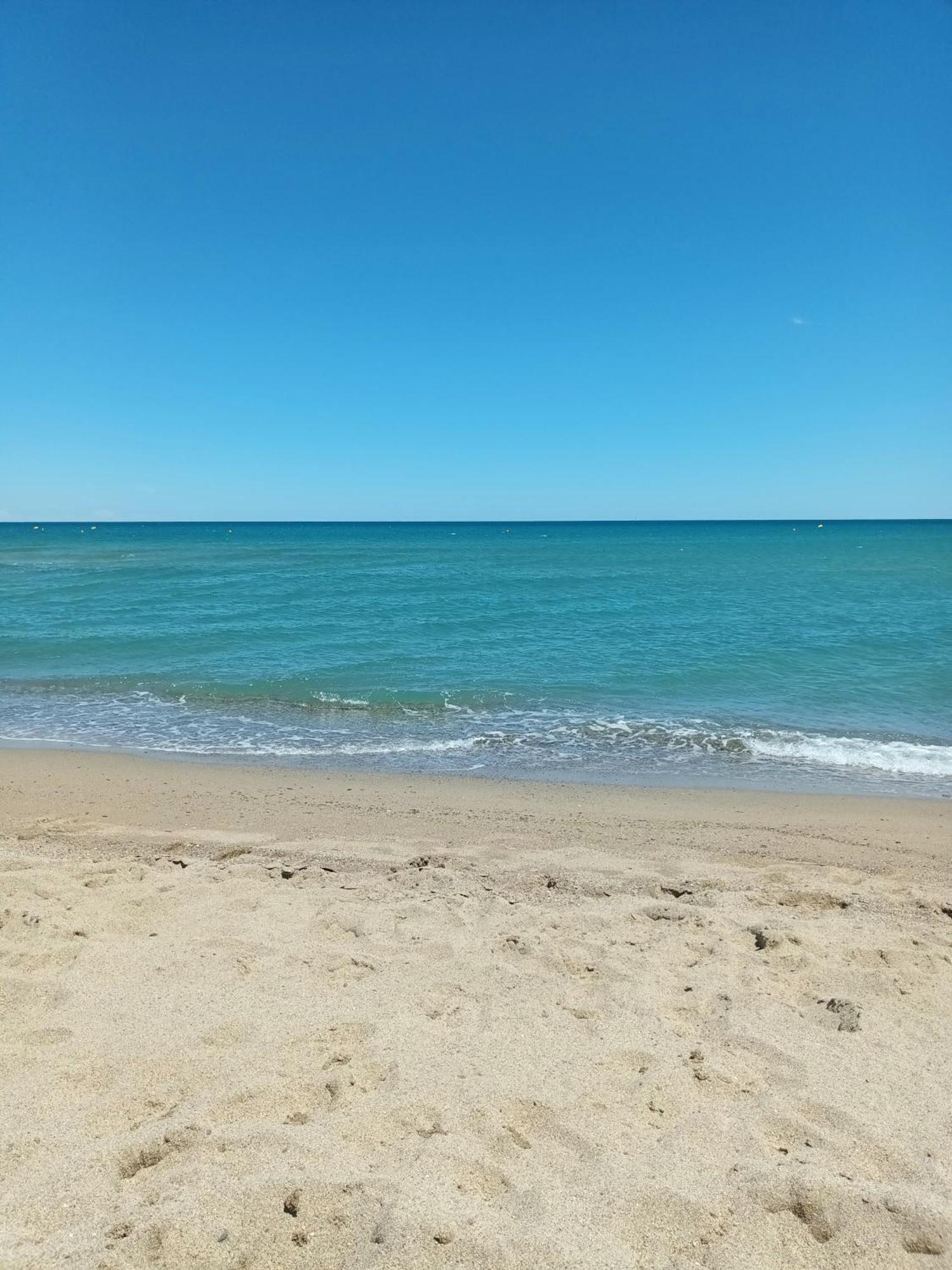 Appartement Saint Cyprien Plage Residence Les Mas De La Mer Zewnętrze zdjęcie